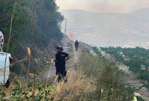 Kάλεσμα από Συμβούλιο Ειρήνης σε Ε/κ και Τ/κ εθελοντές για αποκατάσταση φύσης