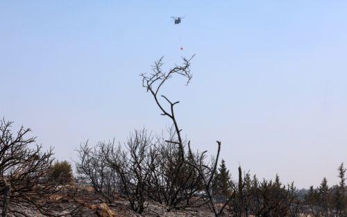 Απαντήσεις για τις πυρκαγιές στην ορεινή Λεμεσό αναμένουν οι Βουλευτές