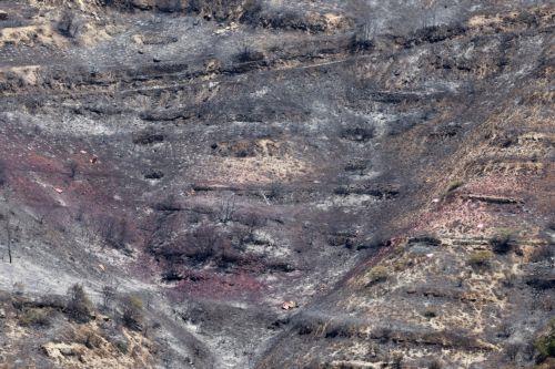 Kαταλυτική η συνεισφορά των C-130 στις προσπάθειες κατάσβεσης στη Λεμεσό, λέει η Πρεσβεία του Ισραήλ