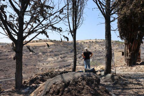 US expert teams assistance exemplifies how partners support each other in times of crisis, Embassy says