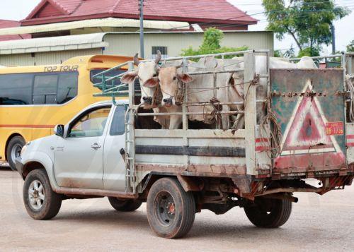 Στον ΟΗΕ η Καμπότζη για κλιμάκωση με Ταϊλάνδη: Απαιτείται «άμεση κατάπαυση του πυρός» άνευ όρων