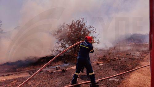 Μεγάλη κινητοποίηση για φωτιά στην Αθήνα