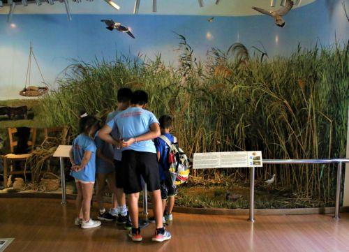 Το Κέντρο Περιβ. Εκπαίδευσης Ακρωτηρίου τίμησε την Παγκόσμια Ημέρα Υγροτόπων