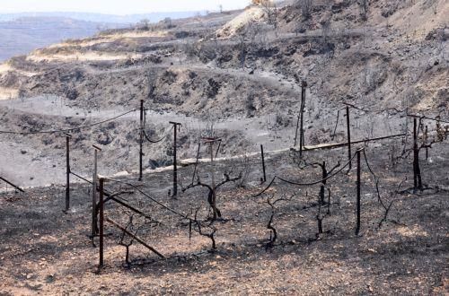 Καταβολή τριών μισθών σε πυρόπληκτους εργαζόμενους αποφάσισε το Υπουργικό