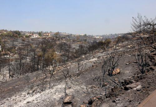 Πέραν του €1 εκατ. από τον Όμιλο XM για έργα σε πυρόπληκτες κοινότητες της Λεμεσού
