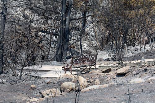 Η Πολιτική Αμυνα διαψεύδει ότι η Διοικήτριά της βρισκόταν σε παραλία κατά τις φωτιές