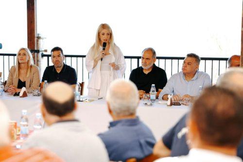 Συντονισμό στις διαδικασίες και άμεση στήριξη πυρόπληκτων ζήτησε η Πρόεδρος ΔΗΣΥ