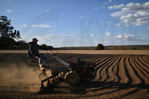 Οι αμερικανικοί δασμοί υπεύθυνοι για παγκόσμια αύξηση τιμών καφέ, λένε οι εξαγωγείς της Βραζιλίας
