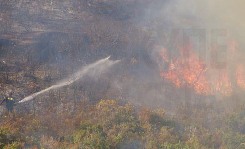 Πυρκαγιές σε Κερατέα, Αχαΐα και Κεφαλονιά