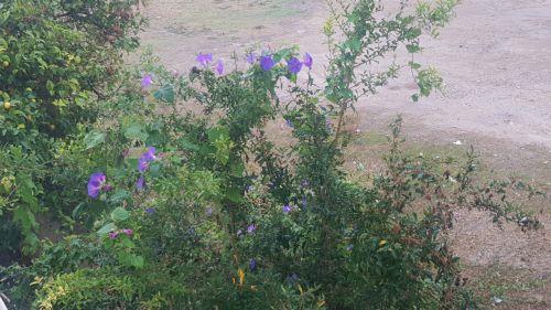 Με προσωπικό ασφαλείας οι υπηρεσίες του Δ. Πάφου από 11 μέχρι 20 Αυγούστου