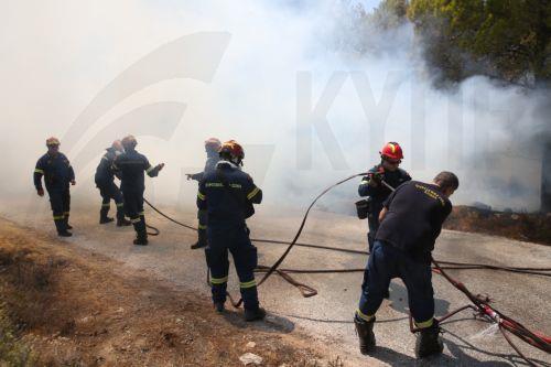 Σε ύφεση παραμένουν οι πυρκαγιές σε Κερατέα Αττικής και Χελιδόνι Ηλείας