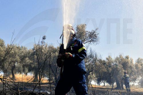 Πυρκαγιές σε Ζάκυνθο, Κεφαλλονιά και Βόνιτσα