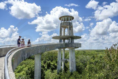 Nέα μελέτη χαρτογραφεί βασικές απειλές για υπό εξαφάνιση είδη στη Λ. Αμερική