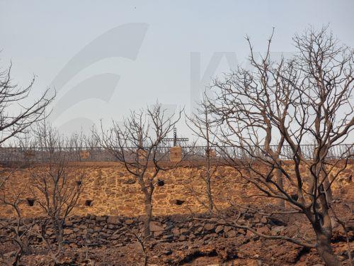 Σπίτια καίγονται στην κεντρική Αγγλία, πυροσβέστες δίνουν μάχη