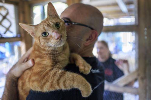 Κουλίας: Στήριξη Βουλής σε εκσυγχρονισμό νομοθετικού πλαισίου για ευημερία ζώων