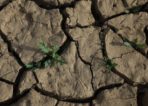 Κύπρος: Ψηλά στο διεθνές εμπόριο, πίσω στην πράσινη μετάβαση δείχνει έρευνα επενδυτικών τάσεων ΕΤΕπ