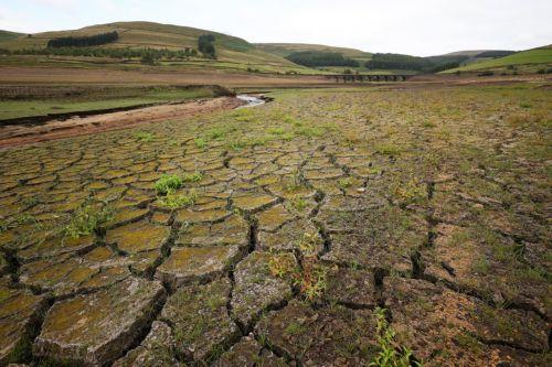 Ρεκόρ ξηρασίας τον Αύγουστο σε Ευρώπη και Μεσόγειο, σύμφωνα με ευρωπαϊκό παρατηρητήριο