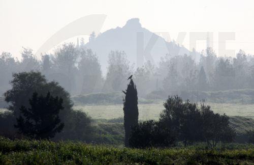 Ενισχύεται με τέσσερις νέους Δασικούς Λειτουργούς το Τμήμα Δασών