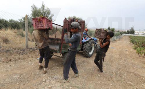 Tεράστια απειλή η μόλυνση, τα υποβαθμισμένα εδάφη, η έλλειψη νερού λέει η Παγκόσμια Τράπεζα