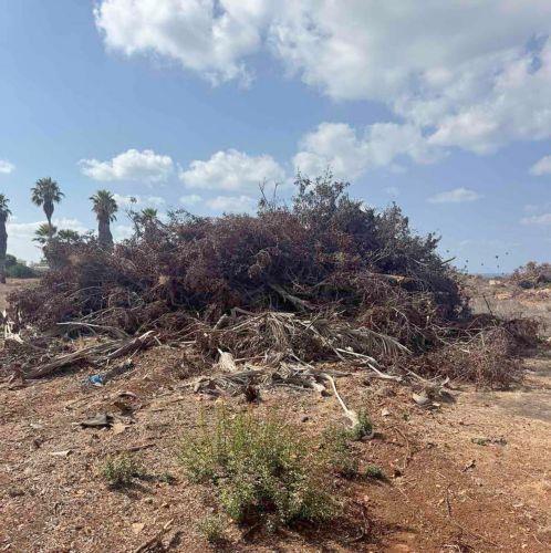 Εικόνες εγκατάλειψης στο Εθνικό Δασικό Πάρκο καταγγέλλουν οι «Φίλοι του Ακάμα»