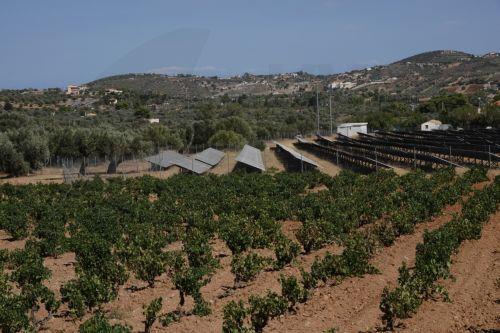 Πρόταση νόμου απαγορεύει τοποθέτηση φ/β σε γεωργική γη εκτός για γεωργοκτηνοτροφικό τομέα