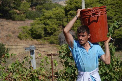 Ετοιμάζονται δυο νέα σχέδια για γεωργούς ύψους €1,5 εκατ. είπε ο Επ. Περιβάλλοντος