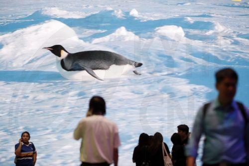 Η Αρκτική βίωσε την πιο θερμή χρονιά που έχει καταγραφεί ποτέ σύμφωνα με μελέτη