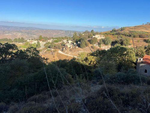 Υπό πλήρη έλεγχο η πυρκαγιά στην Αγία Φύλα