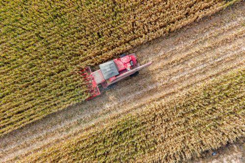 Συμφωνία Συμβουλίου ΕΕ - Ευρωβουλής για πακέτο Omnibus III - απλοποίηση της ΚΑΠ