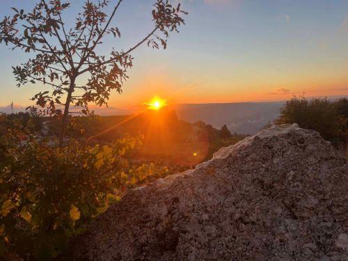 Δύο εκτάρια με άγρια βλάστηση έκαψε πυρκαγιά στην Κοίλη