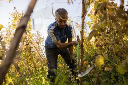 Στην Κύπρο τα υψηλότερα επίπεδα burnout εργαζομένων στην Ευρώπη, σύμφωνα με έρευνα