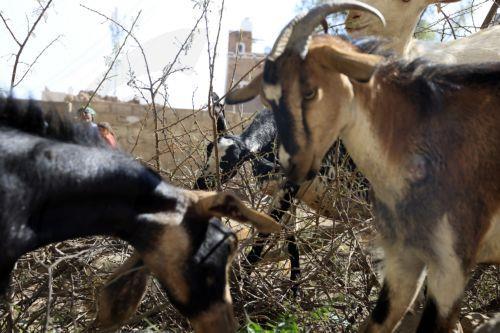 Σκάνδαλο με τις κοινοτικές επιδοτήσεις για τον αγροτικό τομέα στη Β. Μακεδονία