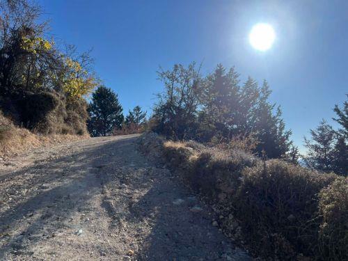 Κάηκαν 5 δεκάρια άγριας βλάστησης από πυρκαγιά στην Τάλα