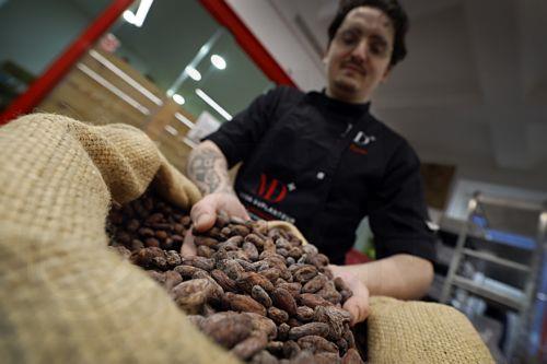 Χημική ουσία στη μαύρη σοκολάτα μπορεί να επιβραδύνει τη γήρανση