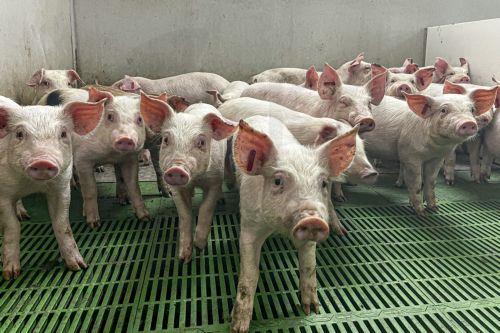 Ξεκίνησαν οι εμβολιασμοί, αναμένεται σήμερα παραλαβή ακόμα 50 χιλ. δόσεων εμβολίων