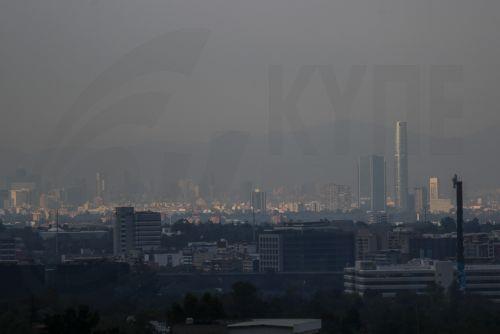 CINEAya göre biyoekonomi ABde 2,7 trilyon avroya kadar değer üretiyor