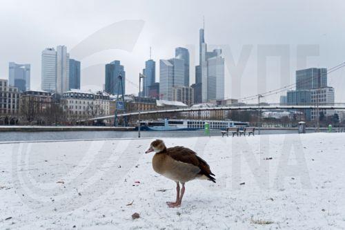 Ακυρώσεις πτήσεων στο αεροδρόμιο της Φρανκφούρτης λόγω χιονιού και πάγου