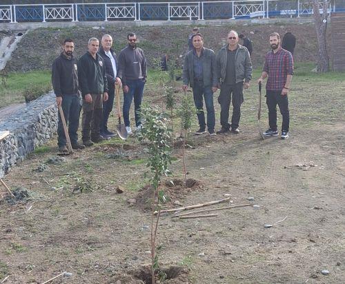 Φυτεύτηκαν 160 δενδρύλλια σε παραλιακή περιοχή της κοινότητας Γυαλιάς