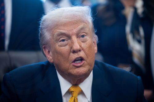 Ο Τραμπ αμφισβητεί το κατά πόσον ο Ρεζά Παχλαβί έχει επαρκή υποστήριξη στο Ιράν