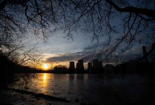 Ερευνητές μελετούν πώς η βιομάζα από δασικά απόβλητα μετατρέπεται σε πράσινο καύσιμο
