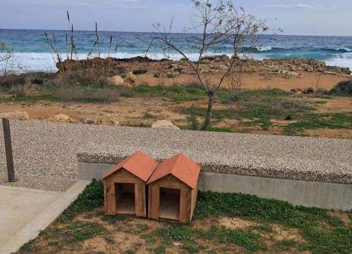 Τοποθέτηση ειδικών σπιτιών σίτισης αδέσποτων γάτων στον Δήμο Παραλιμνίου - Δερύνειας