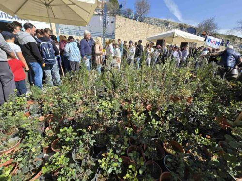 Δεντροφύτευση από Κόμμα για τα Ζώα, Πράσινο Κόμμα και Πράσινη Ασπίδα