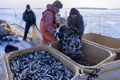 Στα σκαριά νέο πλαίσιο στατιστικών αλιείας και υδατοκαλλιεργειών από την ΕΕ