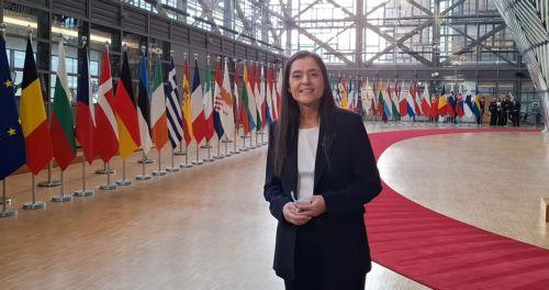 Deputy Minister of Welfare to attend 2026 European Anti-Racism Conference