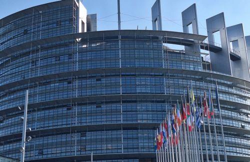 Ενώπιον Κομισιόν έθεσαν τη διαχείριση αφθώδους πυρετού Κύπριοι ευρωβουλευτές