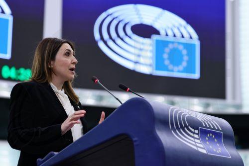 Raouna in Brussels for the European Parliament part-session