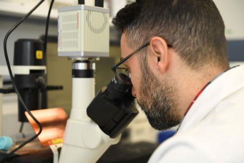 Το Κέντρο Αριστείας biobank.cy ανακοινώνει έναρξη έρευνας για νεφροπάθειες