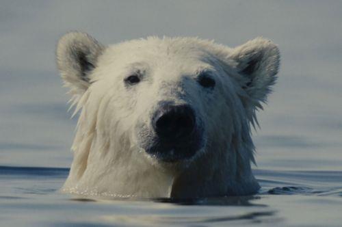 Προβλήματα ενηλικίωσης και κλιματική κρίση στο 28o Φεστιβάλ Ντοκιμαντέρ Θεσσαλονίκης