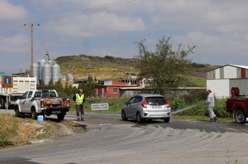 Larnaka ve Lefkoşada şap hastalığı bulaşmış çiftlik sayısı 75e ulaştı