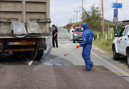 Σταθερά τα κρούσματα του αφθώδους ενώ συνεχίζονται ιχνηλατήσεις-θανατώσεις, λέει η Εκπρόσωπος Κτην. Υπηρεσιών